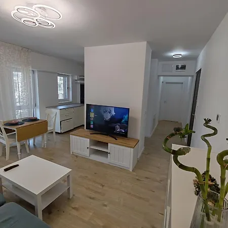 Corporate Suite-3